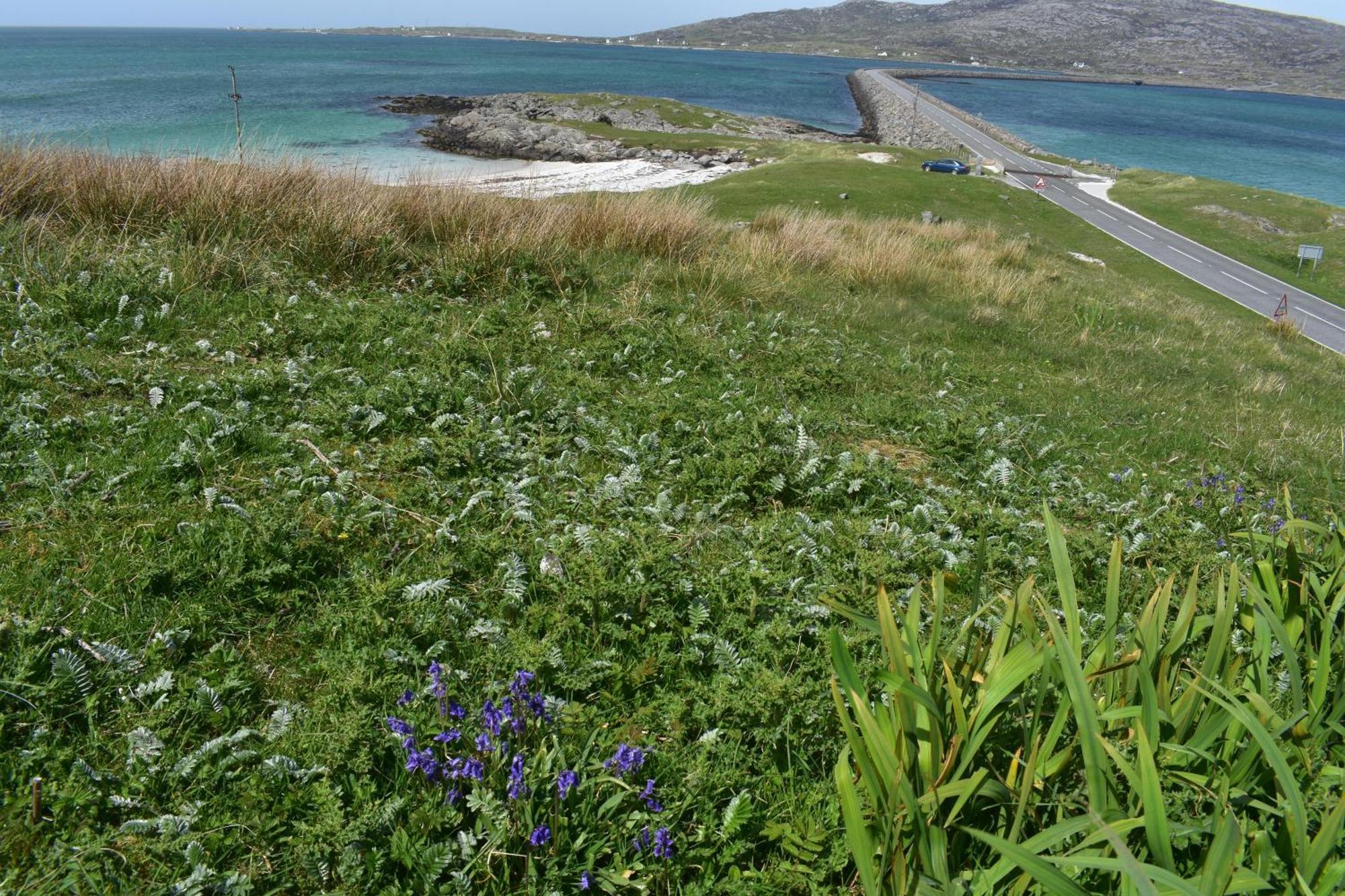 Glamping Pod For 2 Pod Beag Na Haun Eriskay Villa Luaran gambar